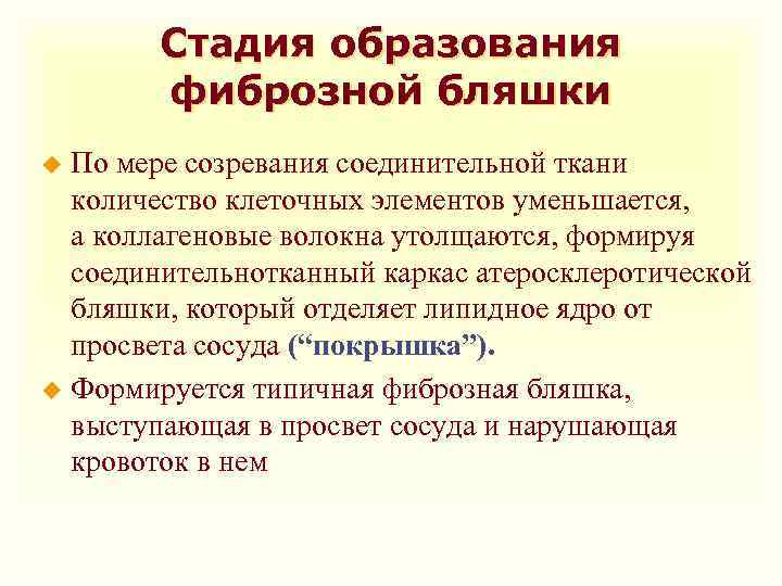 Стадия образования фиброзной бляшки По мере созревания соединительной ткани количество клеточных элементов уменьшается, а