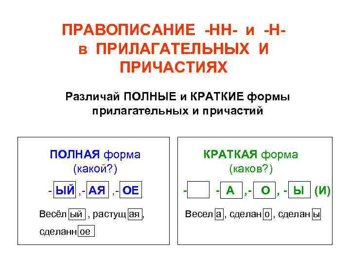 Правописание н и нн в прилагательных образованных от существительных 5 класс презентация