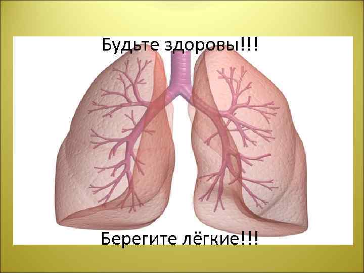 Будьте здоровы!!! Берегите лёгкие!!! 