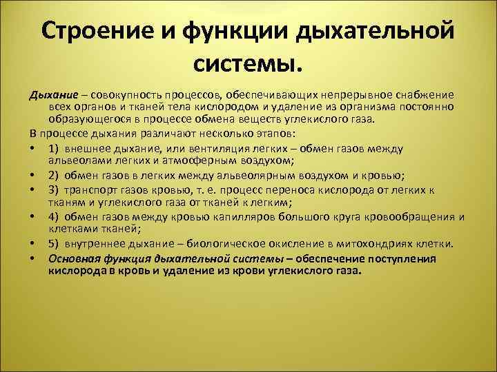 Строение и функции дыхательной системы. Дыхание – совокупность процессов, обеспечивающих непрерывное снабжение всех органов
