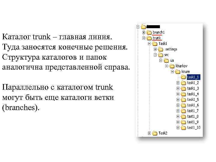 Каталог trunk – главная линия. Туда заносятся конечные решения. Структура каталогов и папок аналогична
