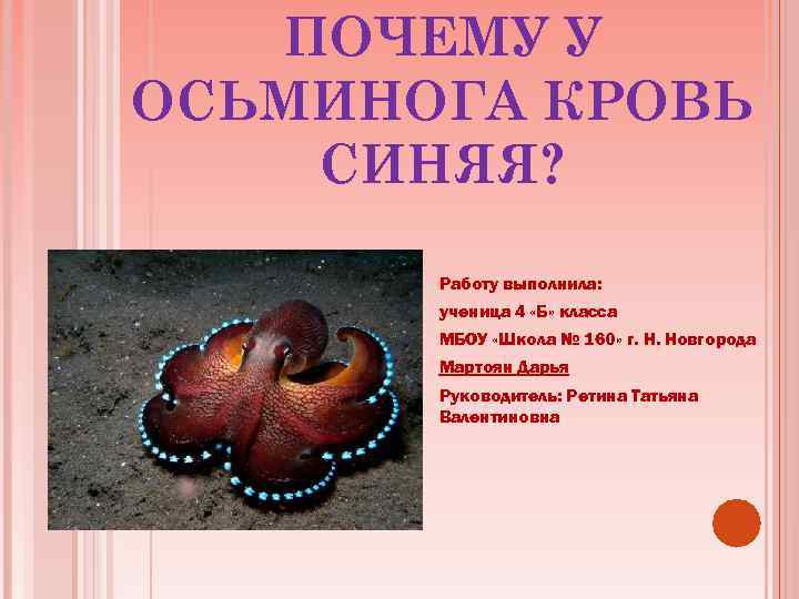 ПОЧЕМУ У ОСЬМИНОГА КРОВЬ СИНЯЯ? Работу выполнила: ученица 4 «Б» класса МБОУ «Школа №