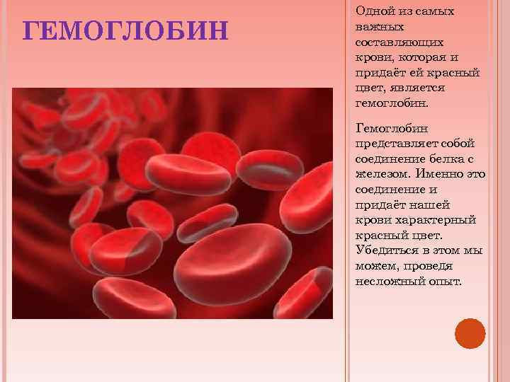 ГЕМОГЛОБИН Одной из самых важных составляющих крови, которая и придаёт ей красный цвет, является