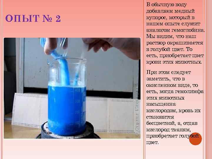 ОПЫТ № 2 В обычную воду добавляем медный купорос, который в нашем опыте служит