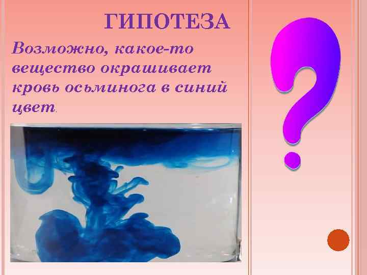 ГИПОТЕЗА Возможно, какое-то вещество окрашивает кровь осьминога в синий цвет. 