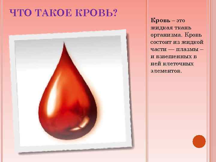 ЧТО ТАКОЕ КРОВЬ? Кровь – это жидкая ткань организма. Кровь состоит из жидкой части