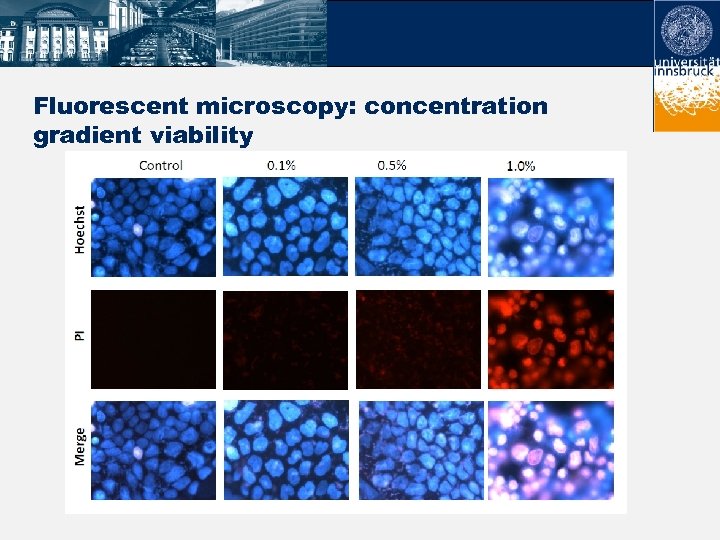 Fluorescent microscopy: concentration gradient viability 