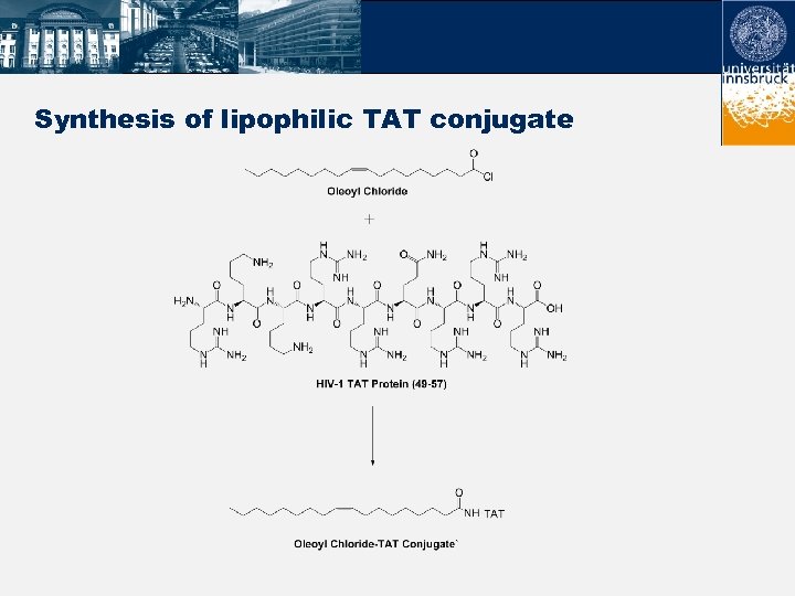 Synthesis of lipophilic TAT conjugate 