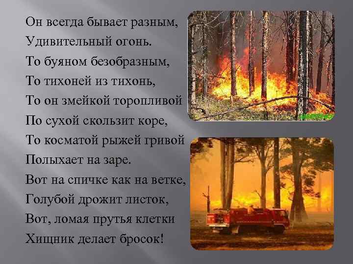 Он всегда бывает разным, Удивительный огонь. То буяном безобразным, То тихоней из тихонь, То