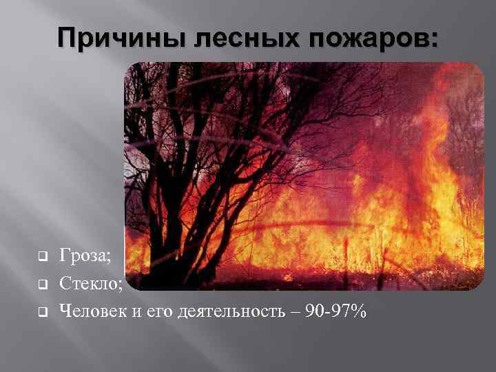 Причины лесных пожаров: q q q Гроза; Стекло; Человек и его деятельность – 90