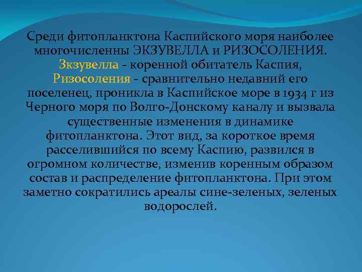 Среди фитопланктона Каспийского моря наиболее многочисленны ЭКЗУВЕЛЛА и РИЗОСОЛЕНИЯ. Зкзувелла - коренной обитатель Каспия,