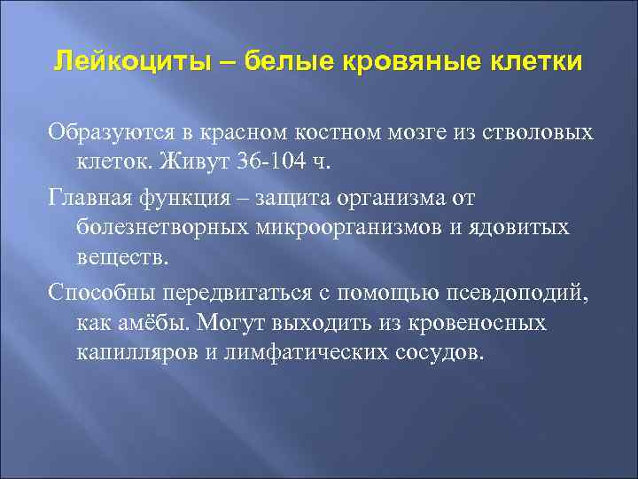 Лейкоциты – белые кровяные клетки Образуются в красном костном мозге из стволовых клеток. Живут