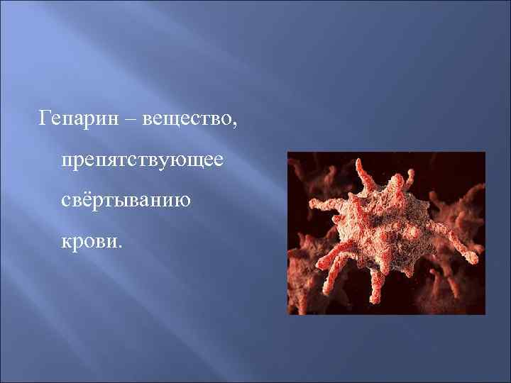 Гепарин – вещество, препятствующее свёртыванию крови. 