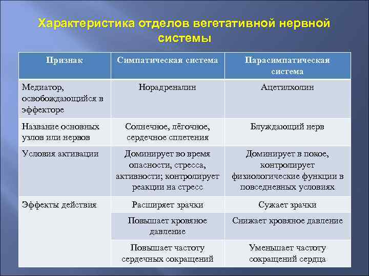 Характеристика отделов вегетативной нервной системы Признак Симпатическая система Парасимпатическая система Медиатор, освобождающийся в эффекторе