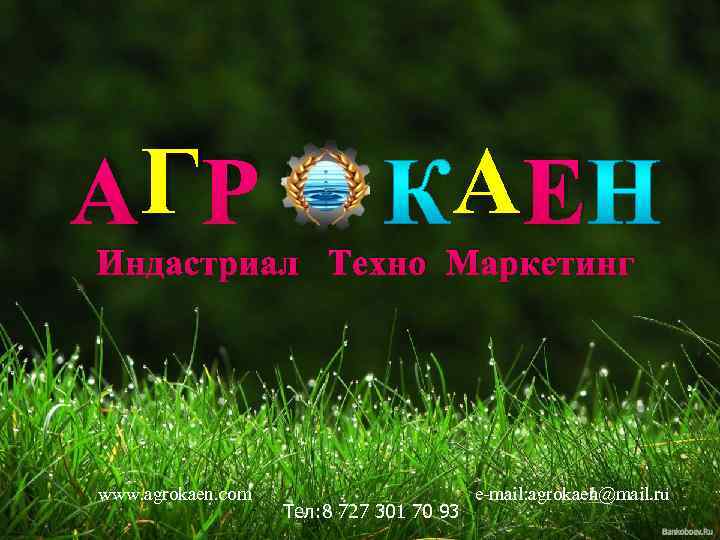 Г AГР A E Индастриал Техно Маркетинг www. agrokaen. com e-mail: agrokaen@mail. ru Тел: