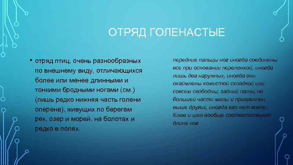 ОТРЯД ГОЛЕНАСТЫЕ • отряд птиц, очень разнообразных по внешнему виду, отличающихся более или менее