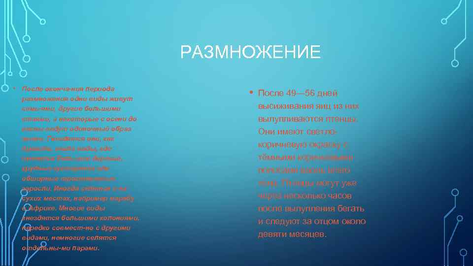 РАЗМНОЖЕНИЕ • После оконча ния периода размножения одни виды живут семь ями, другие большими