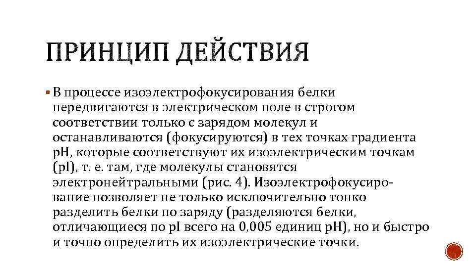 § В процессе изоэлектрофокусирования белки передвигаются в электрическом поле в строгом соответствии только с
