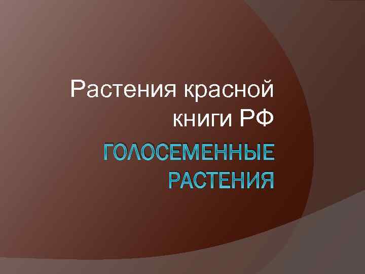Растения красной книги РФ ГОЛОСЕМЕННЫЕ РАСТЕНИЯ 