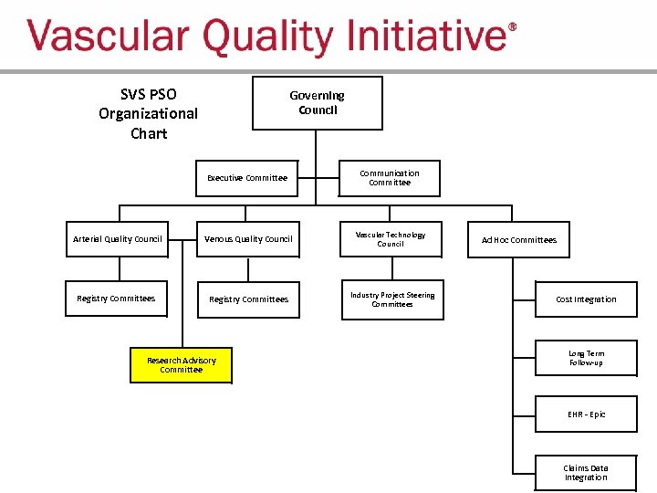 SVS PSO Organizational Chart Governing Council Executive Committee Communication Committee Arterial Quality Council Venous