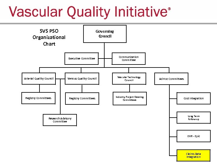 SVS PSO Organizational Chart Governing Council Executive Committee Communication Committee Arterial Quality Council Venous