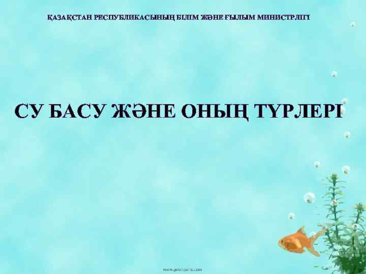 ҚАЗАҚСТАН РЕСПУБЛИКАСЫНЫҢ БІЛІМ ЖӘНЕ ҒЫЛЫМ МИНИСТРЛІГІ СУ БАСУ ЖӘНЕ ОНЫҢ ТҮРЛЕРІ 