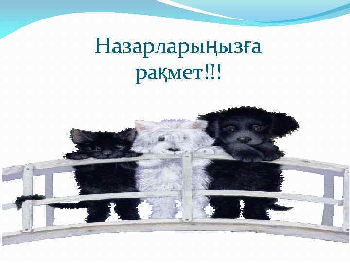 Назарларыңызға рақмет!!! 