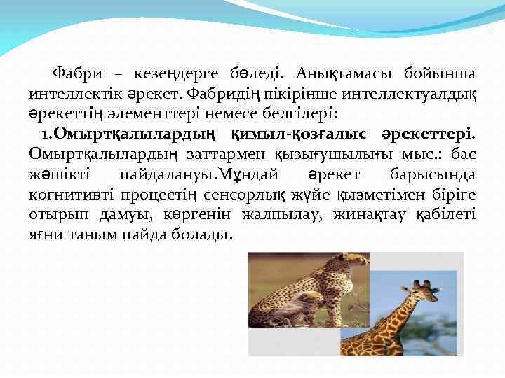 Фабри – кезеңдерге бөледі. Анықтамасы бойынша интеллектік әрекет. Фабридің пікірінше интеллектуалдық әрекеттің элементтері немесе