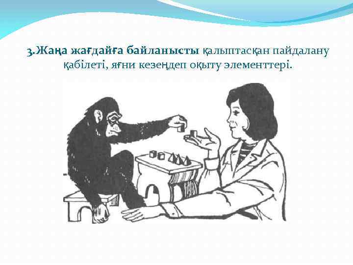3. Жаңа жағдайға байланысты қалыптасқан пайдалану қабілеті, яғни кезеңдеп оқыту элементтері. 