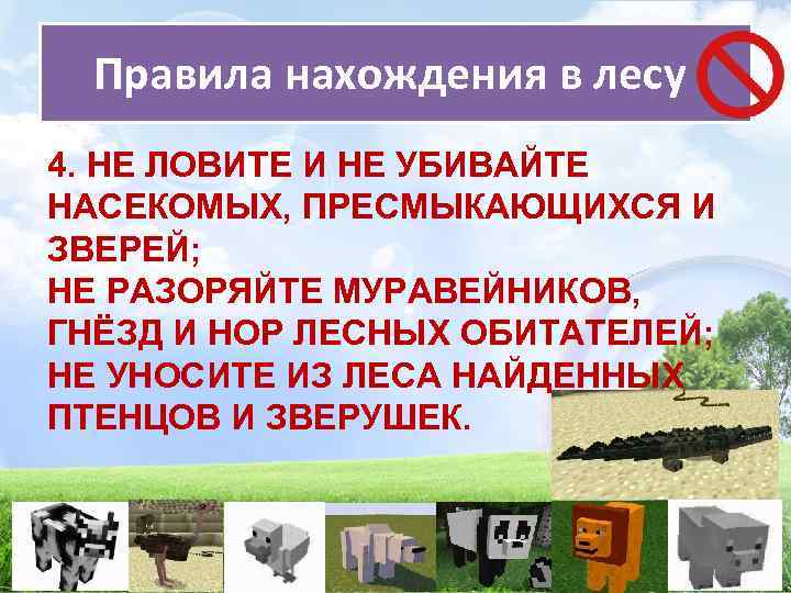 Правила нахождения в лесу 4. НЕ ЛОВИТЕ И НЕ УБИВАЙТЕ НАСЕКОМЫХ, ПРЕСМЫКАЮЩИХСЯ И ЗВЕРЕЙ;