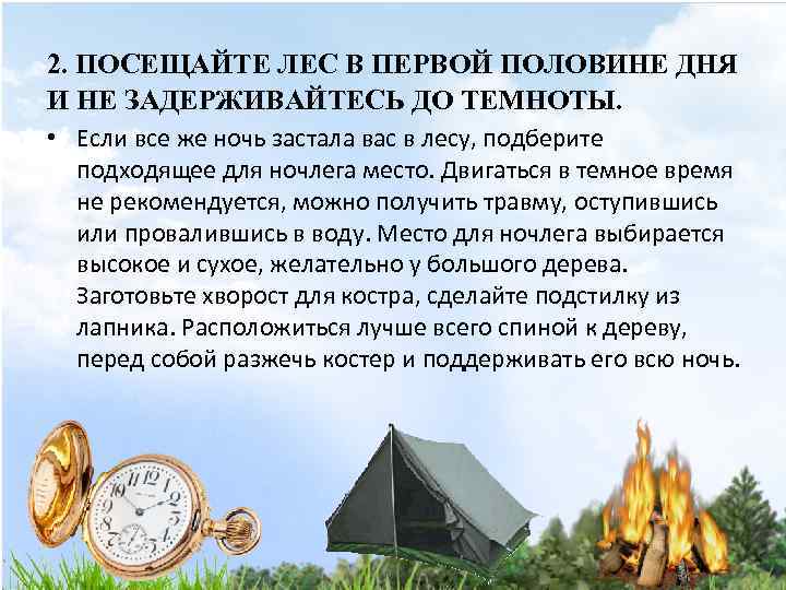 2. ПОСЕЩАЙТЕ ЛЕС В ПЕРВОЙ ПОЛОВИНЕ ДНЯ И НЕ ЗАДЕРЖИВАЙТЕСЬ ДО ТЕМНОТЫ. • Если