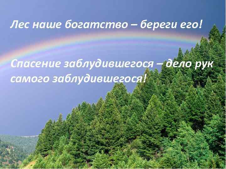 Лес наше богатство – береги его! Спасение заблудившегося – дело рук самого заблудившегося! 