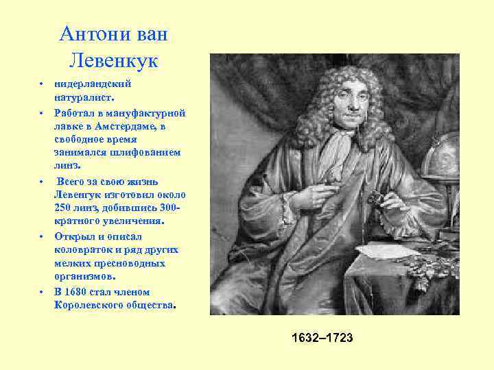 Антони ван Левенкук • • • нидерландский натуралист. Работал в мануфактурной лавке в Амстердаме,