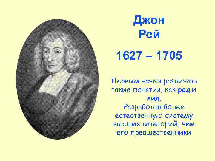 Джон Рей 1627 – 1705 Первым начал различать такие понятия, как род и вид.