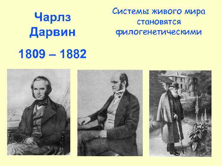 Чарлз Дарвин 1809 – 1882 Системы живого мира становятся филогенетическими 