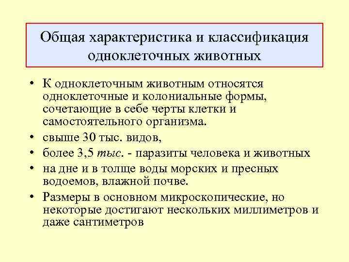 Общая характеристика и классификация одноклеточных животных • К одноклеточным животным относятся одноклеточные и колониальные