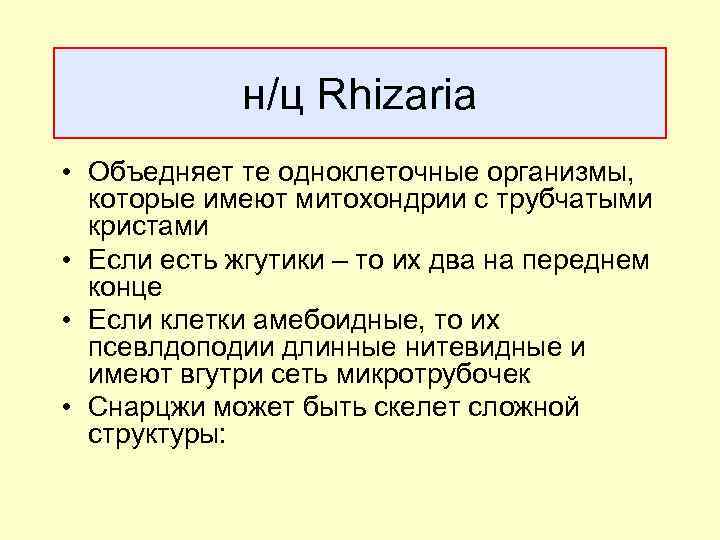 н/ц Rhizaria • Объедняет те одноклеточные организмы, которые имеют митохондрии с трубчатыми кристами •