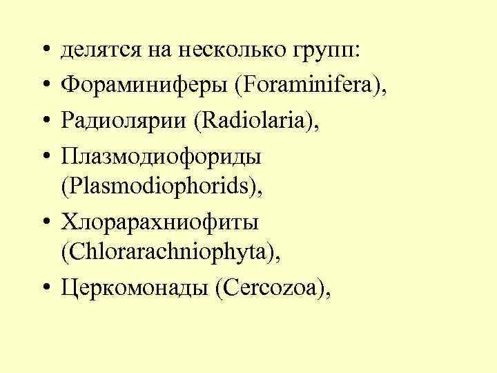  • • делятся на несколько групп: Фораминиферы (Foraminifera), Радиолярии (Radiolaria), Плазмодиофориды (Plasmodiophorids), •