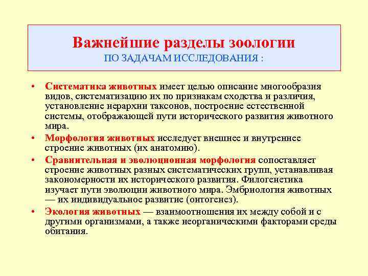 Важнейшие разделы зоологии ПО ЗАДАЧАМ ИССЛЕДОВАНИЯ : • Систематика животных имеет целью описание многообразия