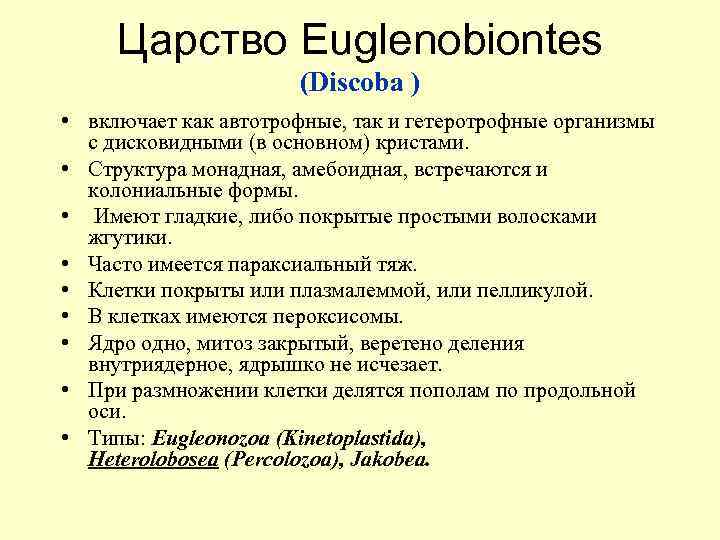 Царство Euglenobiontes (Discoba ) • включает как автотрофные, так и гетеротрофные организмы с дисковидными