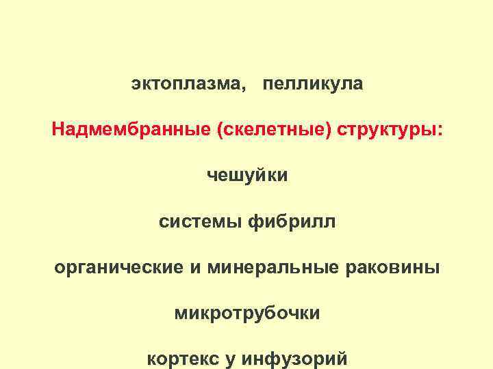 эктоплазма, пелликула Надмембранные (скелетные) структуры: чешуйки системы фибрилл органические и минеральные раковины микротрубочки кортекс