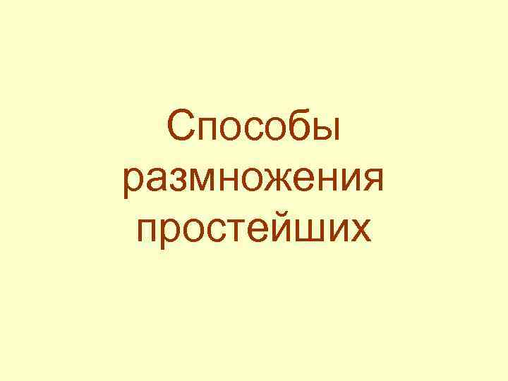 Способы размножения простейших 