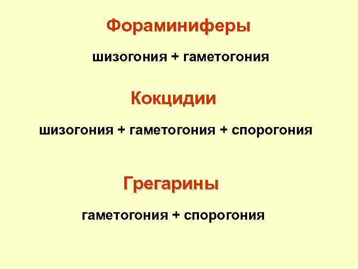 Фораминиферы шизогония + гаметогония Кокцидии шизогония + гаметогония + спорогония Грегарины гаметогония + спорогония