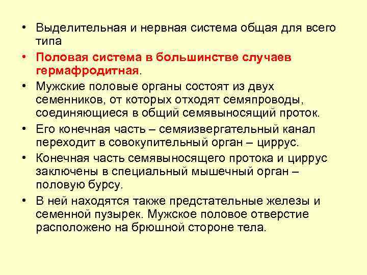  • Выделительная и нервная система общая для всего типа • Половая система в