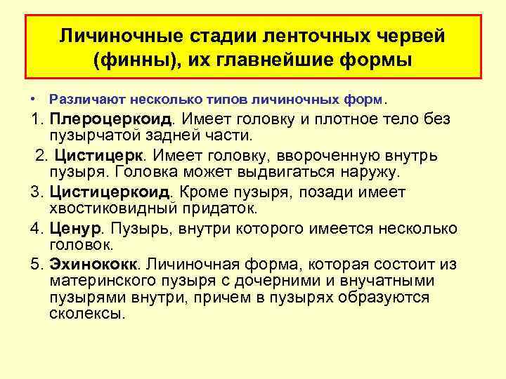 Личиночные стадии ленточных червей (финны), их главнейшие фоpмы • Различают несколько типов личиночных форм.