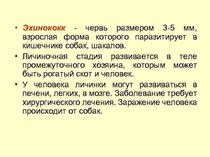  • Эхинококк - червь размером 3 -5 мм, взрослая форма которого паразитирует в