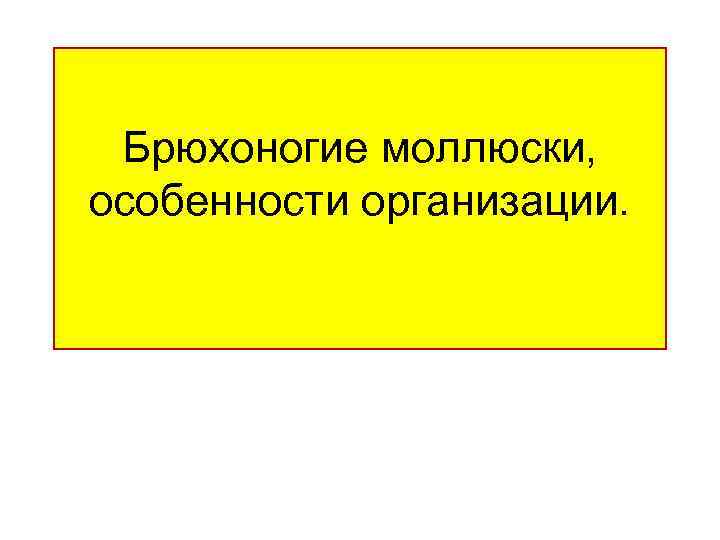 Брюхоногие моллюски, особенности организации. 