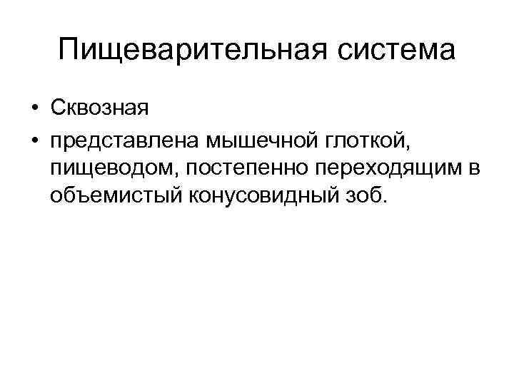 Пищеварительная система • Сквозная • представлена мышечной глоткой, пищеводом, постепенно переходящим в объемистый конусовидный