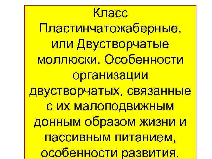 Класс Пластинчатожаберные, или Двустворчатые моллюски. Особенности оpганизации двуствоpчатых, связанные с их малоподвижным донным обpазом