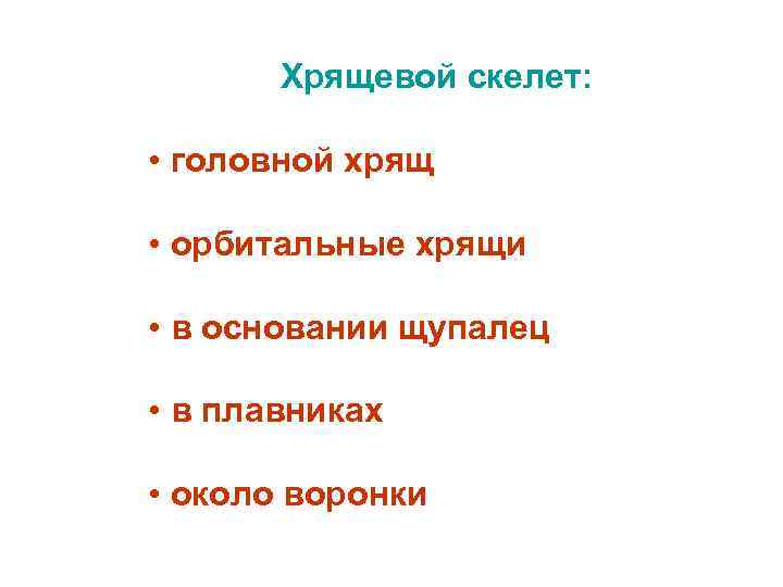 Хрящевой скелет: • головной хрящ • орбитальные хрящи • в основании щупалец • в